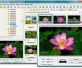 FastStone Image Viewer 7.5下载，强大的图片查看、编辑、转换软件