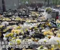 郑州地铁5号线周边菊花被买空