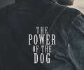 犬之力 The Power of the Dog (2021) 1080p下载