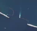 根据卫星图像，俄罗斯正在黑海使用受过军事训练的海豚