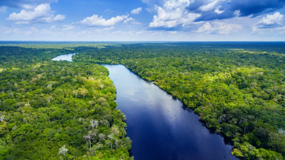 在这里，我们看到了亚马逊河部分的鸟瞰图——注意没有桥梁