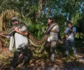 在佛罗里达州发现的最大的蟒蛇长 18 英尺，重达 200 磅