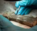 罕见的维京剑碎片在相隔 1200 年后重聚