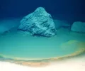 进入稀有红海盐水池的“倒霉”生物立即被击晕致死