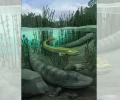 化石显示，远古想家的“鱼足”弃陆归海