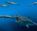 3D模型显示，巨齿鲨是有史以来游泳最快的鲨鱼，可以在5口内吞噬逆戟鲸