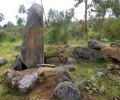 在未来的鳄梨农场发现了具有 7,500 年历史的西班牙“巨石阵”