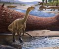 津巴布韦发现最古老的非洲恐龙