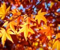 为什么每年的秋分不在同一天？