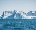 科学家发现潜伏在南极海底下的 100 万年前的 DNA 样本