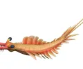 来自中国的古老而奇异的“创新螃蟹”长着茎，长满钉子的手臂和长满“刀片”的尾巴
