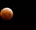 “海狸血月”于 11 月 8 日升起（和日食）。以下是观看方法。