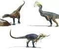 “素食”恐龙的祖先实际上以肉为食