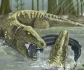 生活在 3.28 亿年前的古代超级食肉动物是“当时的霸王龙”