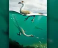 面条颈游泳恐龙可能像企鹅一样是潜水捕食者