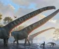 最长的恐龙脖子比校车还长 49 英尺