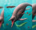 迄今为止发现的最古老的“鱼蜥”化石表明这些海怪在“大死亡”中幸存下来