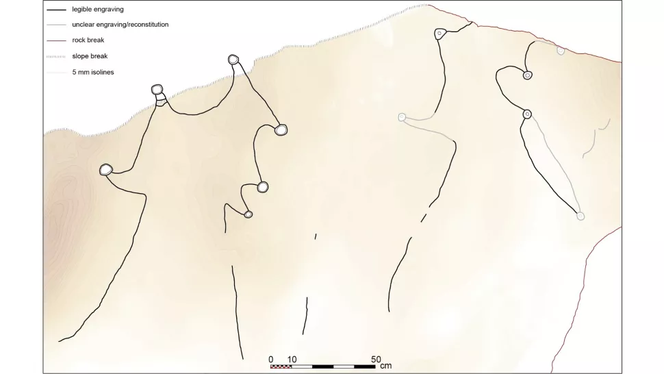 一幅来自沙特阿拉伯 Jebel az-Zilliyat 的风筝代表的投影图，显示清晰但不清楚的雕刻，并对巨石表面的地形进行了彩色修复。（图片来源：Crassard 等人，2023 PLOS One）