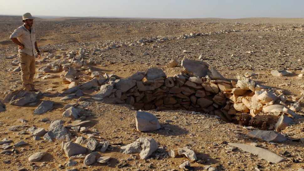 约旦 Jibal al-Khashabiyeh 沙漠风筝挖出的陷阱。 （图片来源：SEBAP & O. Barge/CNRS）