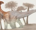 来自阿根廷的巨大 100 英尺长的恐龙是如此之大，其化石在运输过程中打破了道路