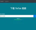 Qload.info 抖音 TikTok 视频下载无水印，支持 MP4、MP3 格式