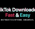 Tiker 免注册匿名下载 TikTok 影片，无浮水印下载